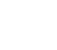 shield icon